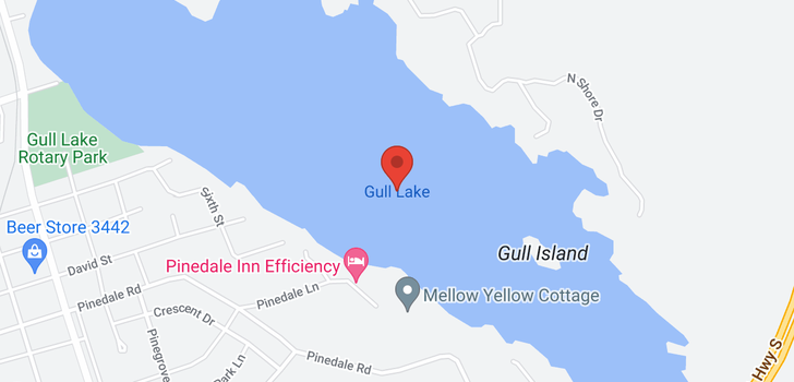 map of GULL LAKE